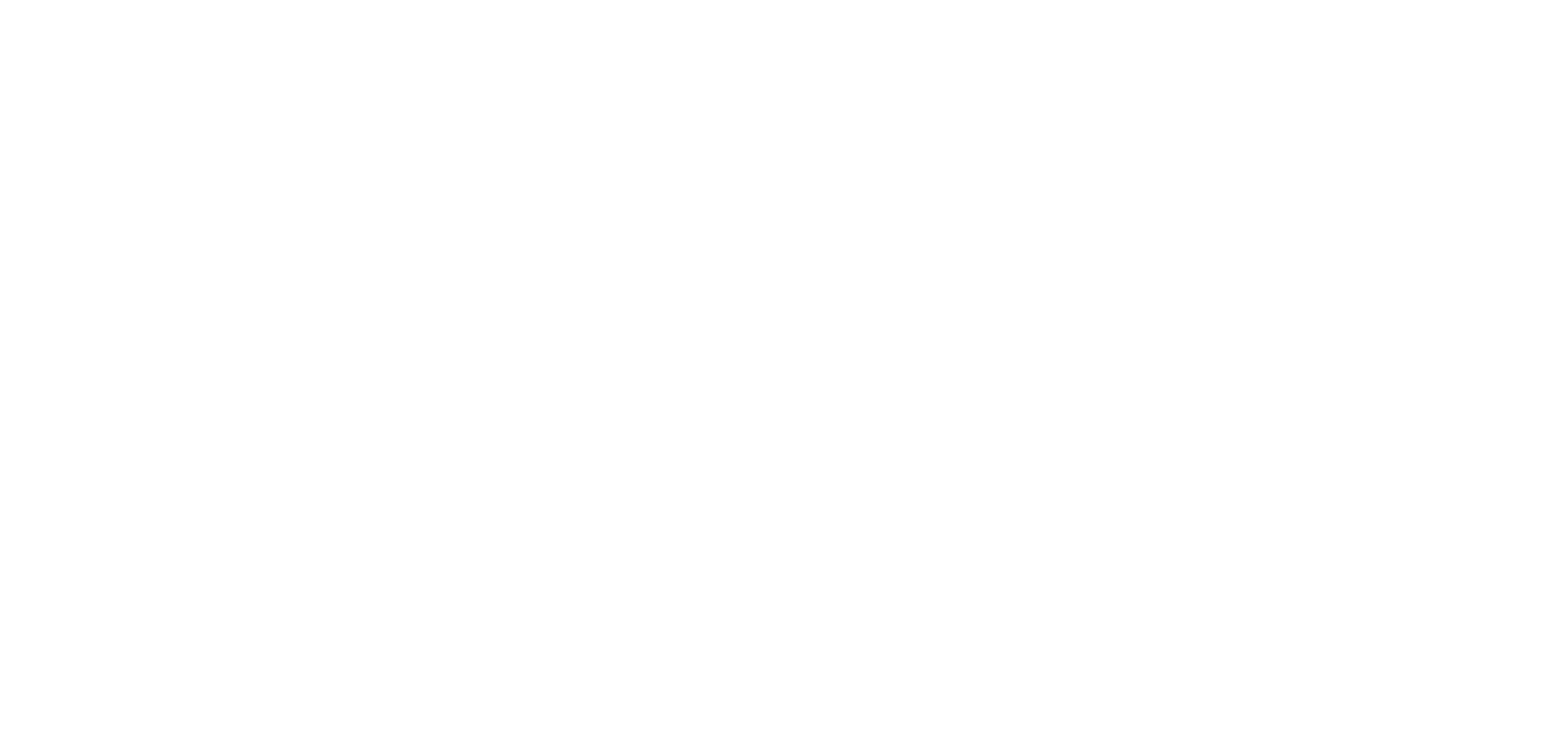 Airport Shuttle MX
